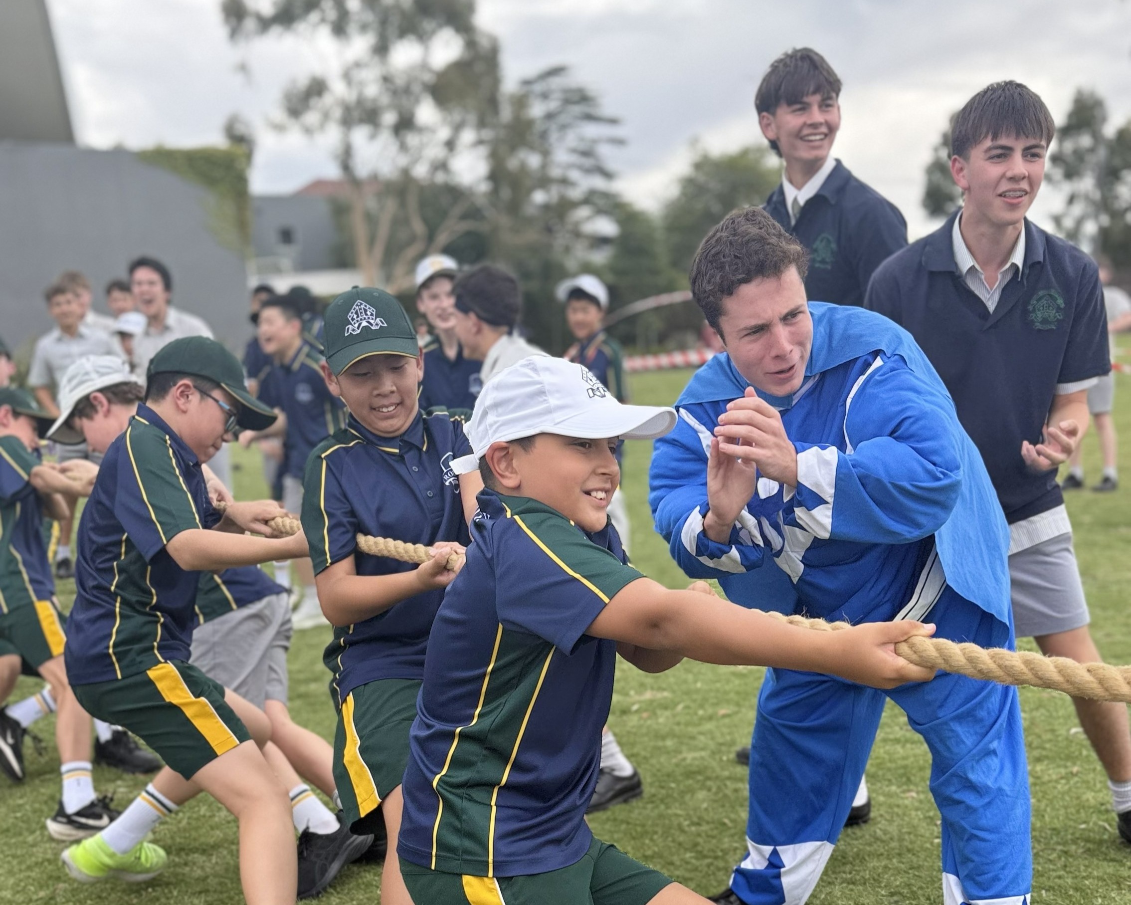 Peer Mentoring at Bulleen